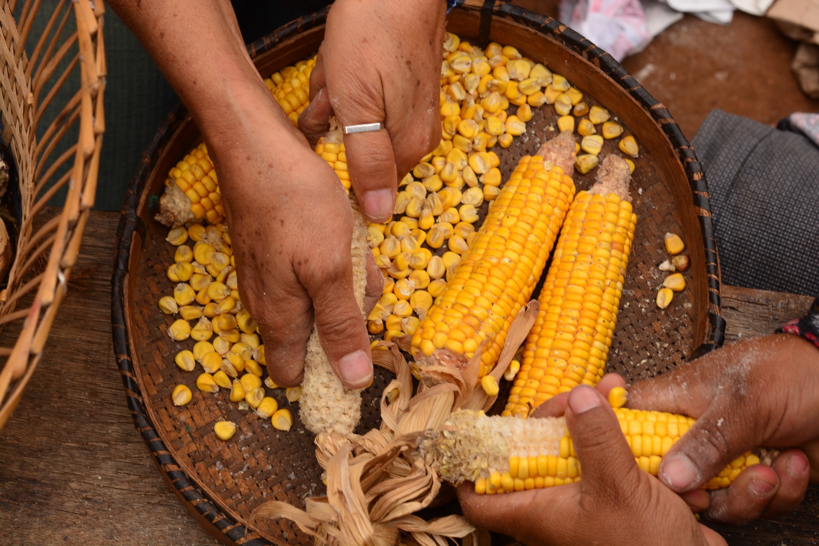 PHOTO-2023-09-02-19-49-00 (1).jpg